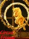CircusTroupe
