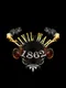 Civil War: 1862