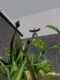 Cloud Storage Botanical Station