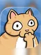 Clumsy Cat
