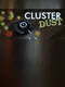Cluster Dust