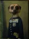 Compare the Meerkat
