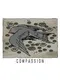 Compassion