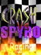 Crash vs. Spyro Racing