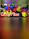 Crazy Flies