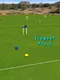 Croquet Pro 2