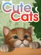 Cute Cats