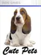 Cute Pets