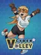 Cyber Volley