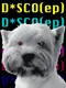 D*sco Ep
