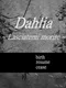 Dahlia: Lasciatemi morire