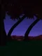 Dark Forest Virtual Chatroom