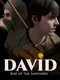 David: Rise of the Shepherd