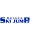 Deluxe Ski Jump 3