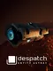 Despatch: Entity Astray