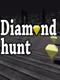 Diamond Hunt