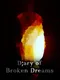 Diary of Broken Dreams