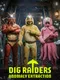 Dig Raiders: Anomaly Extraction