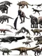 Dinosaur Battlegrounds