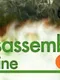 Disassembly Line