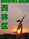 District XiLin