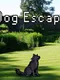 Dog Escape