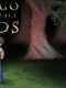 Don't Go into the Woods