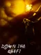 Down the Shaft