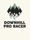 Downhill Pro Racer
