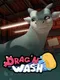 Drag'n Wash