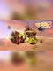 Dragon Adventure VR