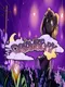 Dreamstory