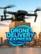 Drone Delivery Express: City Simulator