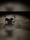 DrumSim