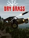 Dry Grass