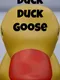 Duck Duck Goose