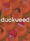 Duckweed