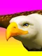 Eagle Ride