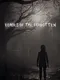 Echoes of the Forgotten