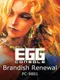 Eggconsole Brandish Renewal PC-9801