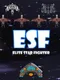 Elite Star Fighter