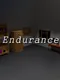 Endurance