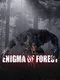 Enigma of Forest