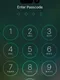 Enter Passcode