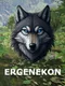 Ergenekon