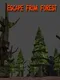 Escape From Forest