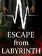 Escape from Labyrinth