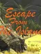 Escape From The Island
