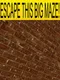 Escape This Big Maze!