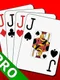 Euchre 3D Pro